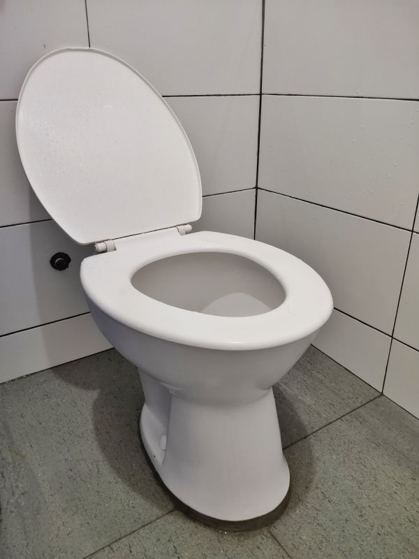 Toilet Installation Service detail